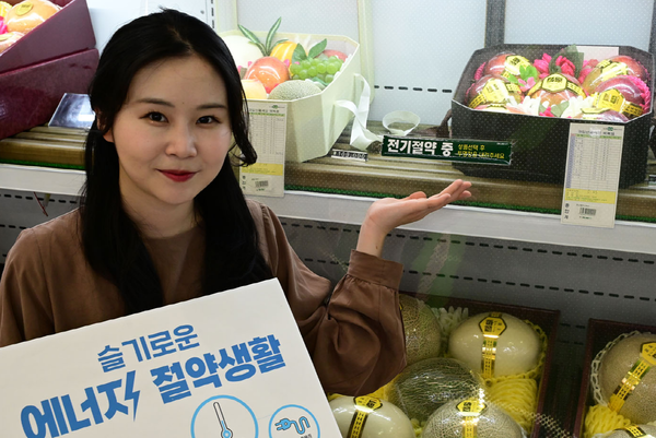  :28일 서울 서초구 농협 하나로마트 양재점에서 모델이 에너지 절감을 위한 ‘20% 셧 다운 프로젝트’를 소개하고 있다.